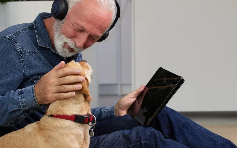 Don't leave Fido behind!